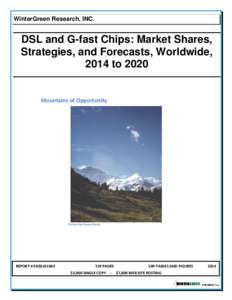 WinterGreen Research, INC.  DSL and G-fast Chips: Market Shares, Strategies, and Forecasts, Worldwide, 2014 to 2020