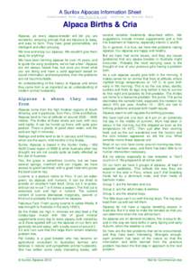 A Surilox Alpacas Information Sheet Downloaded from www.surilox.com written by Karine Raiz  Alpaca Births & Cria