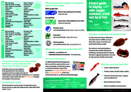 [removed]Guide to Buying Seasonal Fish A4 Trifold Leaflet v23 Web.indd