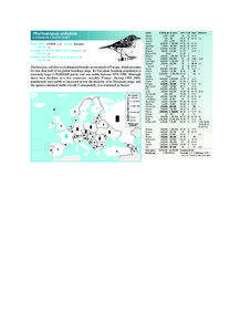 Birds in Europe – Warblers  Phylloscopus collybita