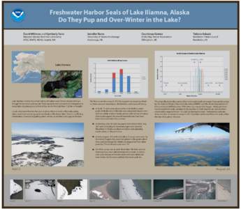 Freshwater Harbor Seals of Lake Iliamna, Alaska Do They Pup and Over-Winter in the Lake? David Withrow and Kymberly Yano National Marine Mammal Laboratory AFSC, NMFS, NOAA, Seattle, WA