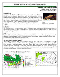 Brook stickleback (Culaea inconstans) Freshwater Fish Species of Concern Global Rank: G5 (secure)