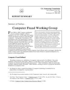 Computer Fraud Working Group Report