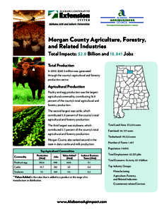 Alabama Cooperative Extension System / Auburn University / Education in Alabama / Tuskegee University / Alabama / Southern United States / Confederate States of America