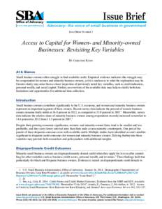 Issue Brief on Financing Women and Minority-Owned Businesses
