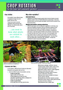 crop rotation for the home and community gardener Crop rotation Crop rotation moves different types of vegetable through the same