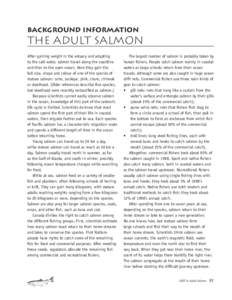 Background information THE adult salmon  After gaining weight in the estuary and adapting