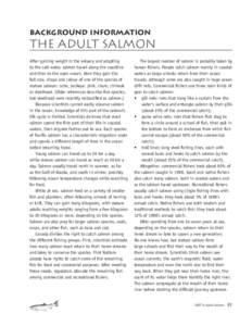 Chinook salmon / Sockeye salmon / Fishing / Gillnetting / Trolling / Coho salmon / Rainbow trout / Salmon run / Aquaculture of salmon / Fish / Salmon / Oncorhynchus