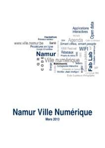 Namur Ville Numérique Mars 2013 Namur Ville Numérique Dans la déclaration de politique communale approuvée par le Conseil communal le 17 décembre 2012, parmi les enjeux était énoncé l’objectif de faire de Namu