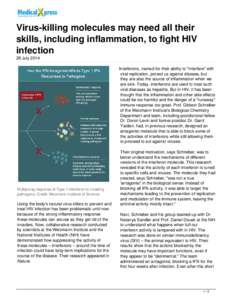 Virus-killing molecules may need all their skills, including inflammation, to fight HIV infection