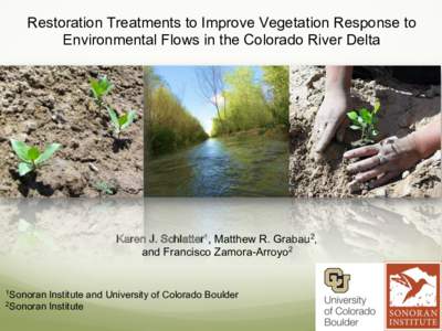 Restoration Treatments to Improve Vegetation Response to Environmental Flows in the Colorado River Delta Karen J. Schlatter1, Matthew R. Grabau2, and Francisco Zamora-Arroyo2
