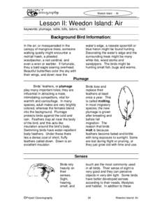 Weedon Island - Air  Lesson II: Weedon Island: Air keywords: plumage, ratite, bills, talons, molt  Background Bird Information: