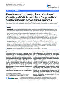 Gut flora / Clostridiaceae / Diarrhea / Clostridium / Barn Swallow / Hirundo / Clostridium difficile toxin A / Bacteria / Microbiology / Gram-positive bacteria