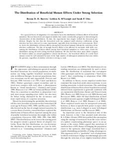 Copyright Ó 2006 by the Genetics Society of America DOI: [removed]genetics[removed]The Distribution of Beneficial Mutant Effects Under Strong Selection Rowan D. H. Barrett,1 Leithen K. M’Gonigle and Sarah P. Otto Zo