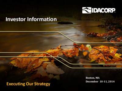 Investor Information  Executing Our Strategy Boston, MA December 10-11, 2014