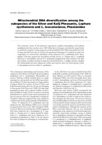 Ibis (2003), 145 (online), E1 – E11  Mitochondrial DNA diversification among the subspecies of the Silver and Kalij Pheasants, Lophura nycthemera and L. leucomelanos, Phasianidae