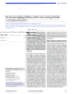article addendum Communicative & Integrative Biology 4:2, ; March/April 2011; ©2011 Landes Bioscience On the water lapping of felines and the water running of lizards A unifying physical perspective Jeffrey M. Ar