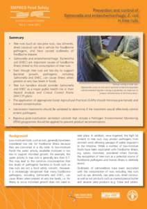 EMPRES Food Safety Lessons Learned Series No. 2 – June 2012 Prevention and control of Salmonella and enterohemorrhagic E. coli