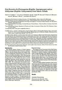 First Records of a Plesiosaurian (Reptilia: Sauropterygia) and an Ichthyosaur (Reptilia: Ichthyosauria) from Yukon, Canada JAMES A. CAMPBELL1, *, CLAUDIA J. SCHRÖDER-ADAMS1, JAMES W. HAGGART2, PATRICK S. DRUCKENMILLER3,