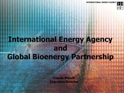 INTERNATIONAL ENERGY AGENCY  International Energy Agency and Global Bioenergy Partnership Claude Mandil