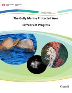 Oceans Act Marine Protected Areas