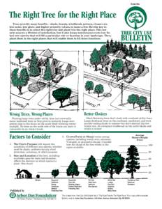 from the  The Right Tree for the Right Place Trees provide many benefits – shade, beauty, windbreak, privacy, cleaner air, less noise, less glare, and higher property values, to name a few. But the key to these benefit
