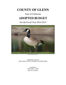 COUNTY OF GLENN State of California ADOPTED BUDGET For the Fiscal Year[removed]