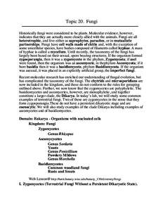 Topic 20. Fungi Historically fungi were considered to be plants. Molecular evidence, however, indicates that they are actually more closely allied with the animals. Fungi are all heterotrophic, and live either as saproph