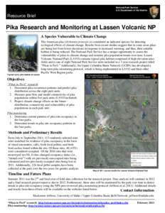 Lassen Volcanic pika resource brief 2011