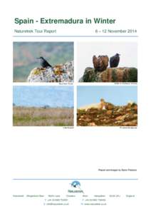 Spain - Extremadura in Winter 6 – 12 November 2014 Naturetrek Tour Report  Blue Rock Thrush