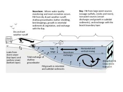 Nearshore: Where water quality monitoring and most recreation occurs. FIB from dry & wet weather runoff, shallow groundwater, bather shedding, bird droppings, growth in intertidal sediments & vegetation, and exchange