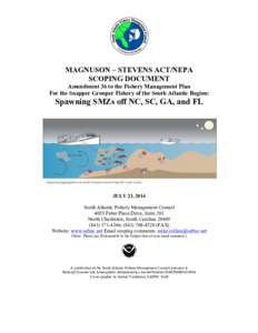 MAGNUSON – STEVENS ACT/NEPA SCOPING DOCUMENT Amendment 36 to the Fishery Management Plan For the Snapper Grouper Fishery of the South Atlantic Region:  Spawning SMZs off NC, SC, GA, and FL