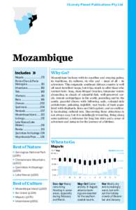 ©Lonely Planet Publications Pty Ltd  Mozambique Maputo...........................170 Ponta d’Ouro & Ponta Malongane...................... 181