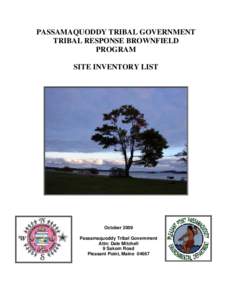 Passamaquoddy people / Languages of North America / Phase I environmental site assessment / Pleasant Point / Passamaquoddy Pleasant Point Reservation / Wetland / Maine / Environment / Passamaquoddy