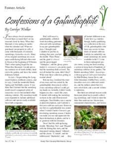 Feature Article  Confessions of a Galanthophile By Carolyn Walker  I