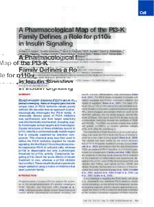 Phosphoinositide 3-kinase / AKT / Cell signaling / Signal transduction / LY294002 / PI3 / Phosphorylation / PDE3 / Mammalian target of rapamycin / Biology / Protein kinases / Oncology